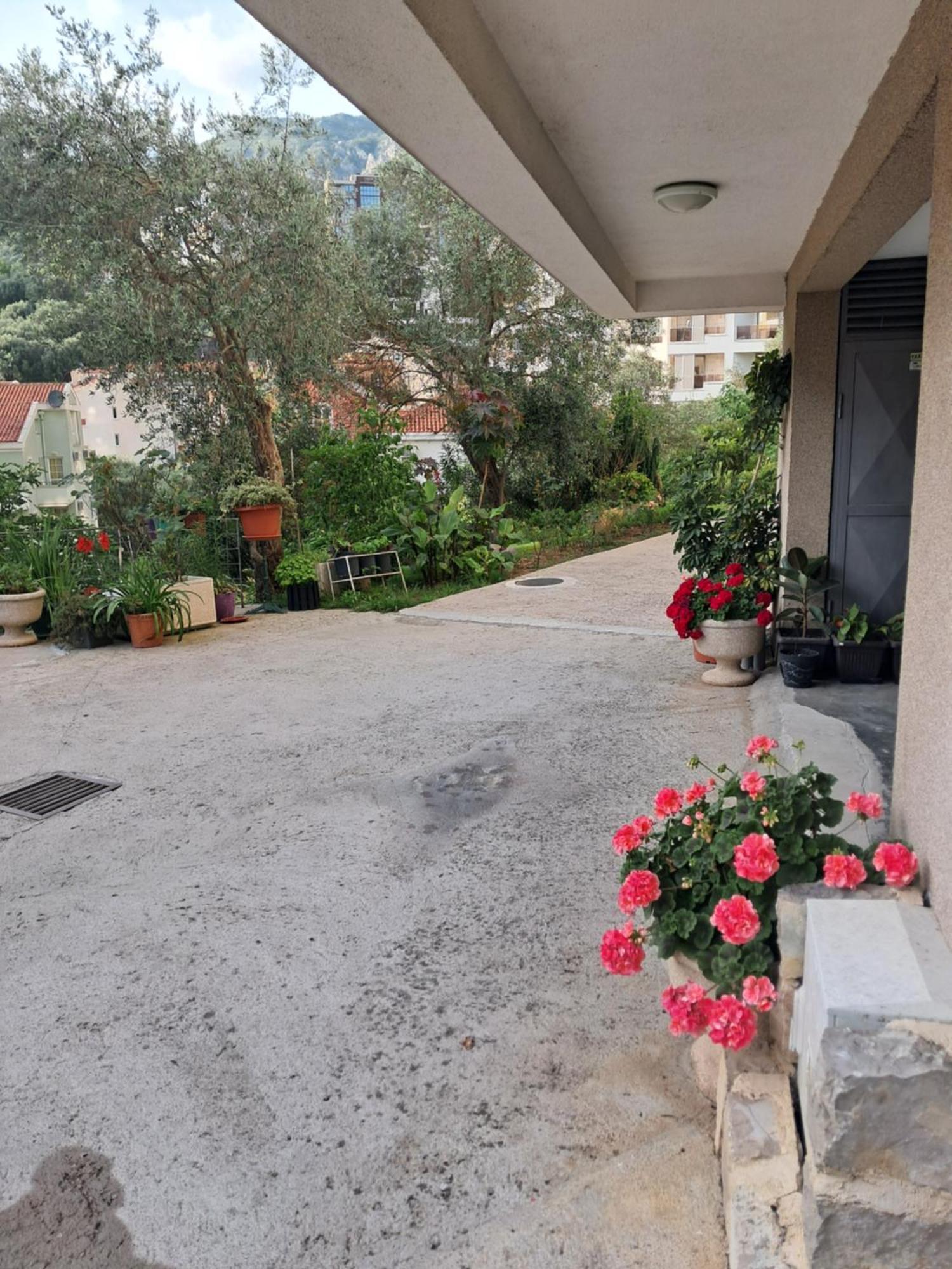Apartman Verica Rafailovici Exterior photo