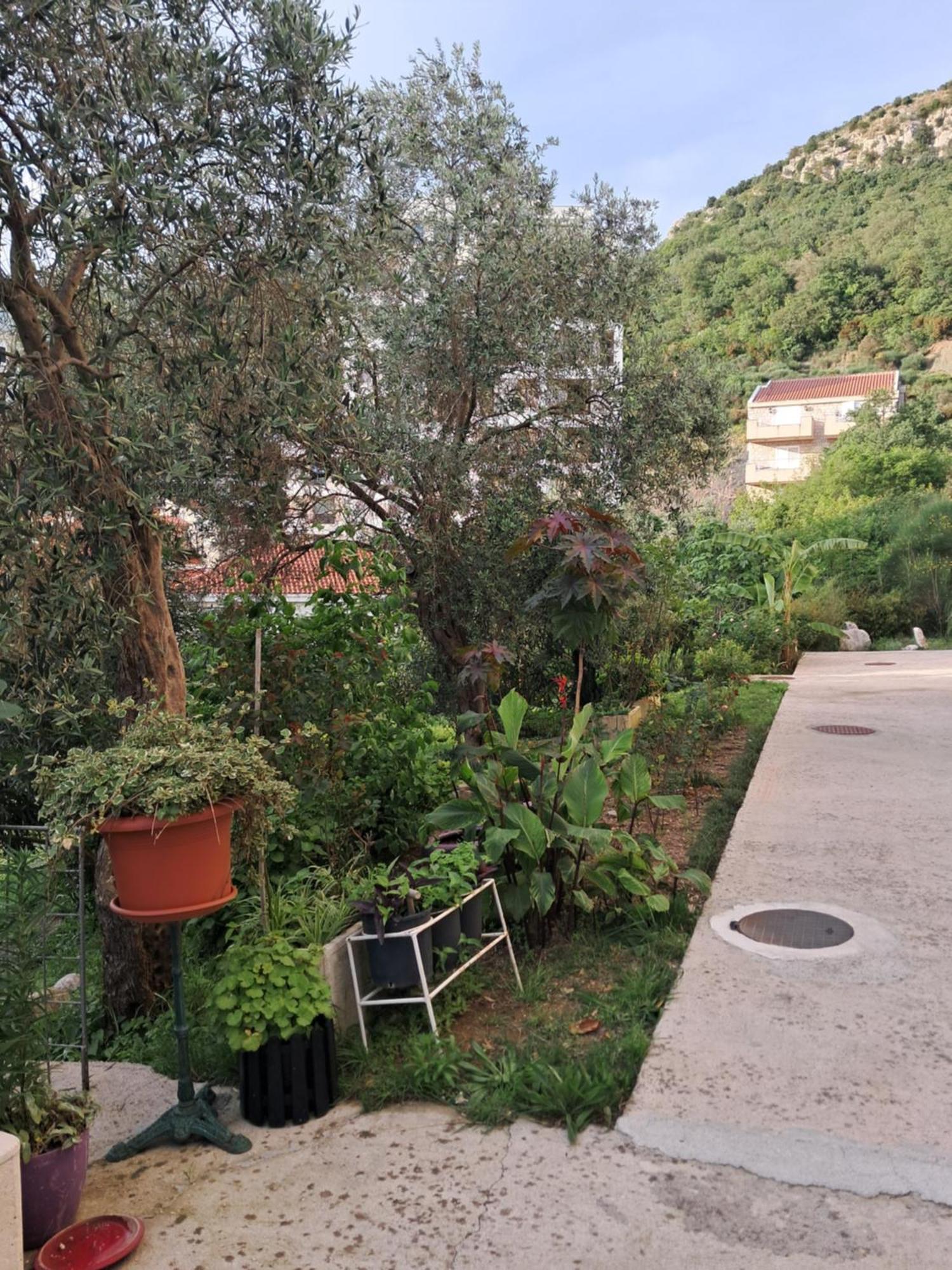 Apartman Verica Rafailovici Room photo